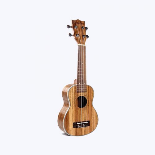 Vibrant Acoustic Guitar