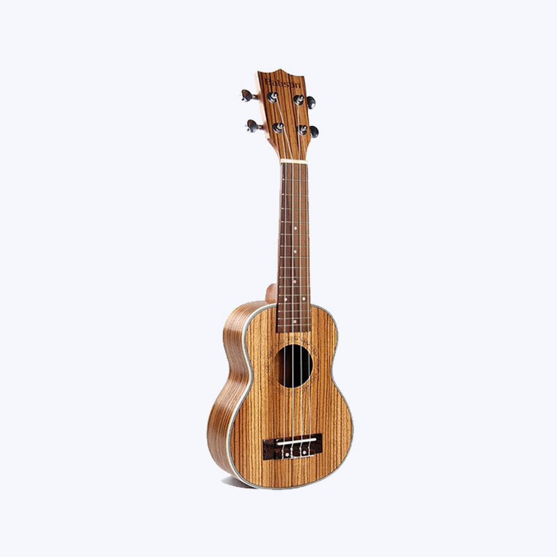 Vibrant Acoustic Guitar